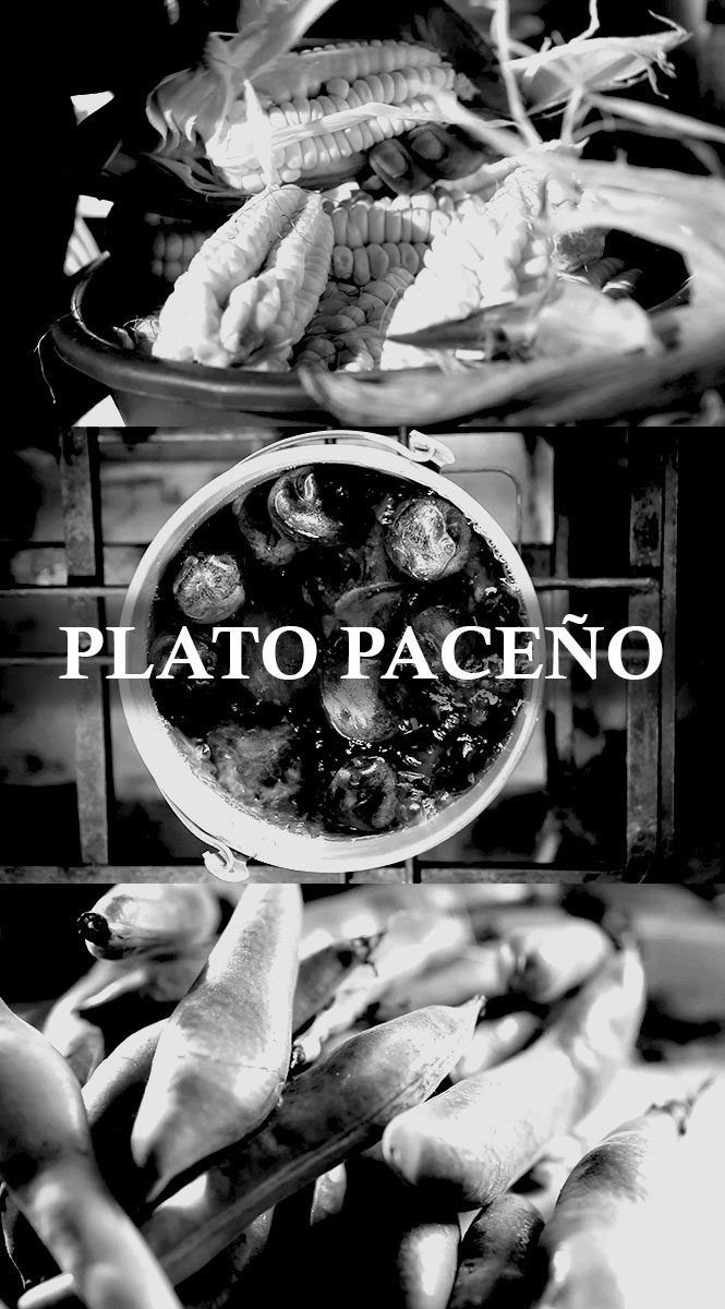 Plato Paceño